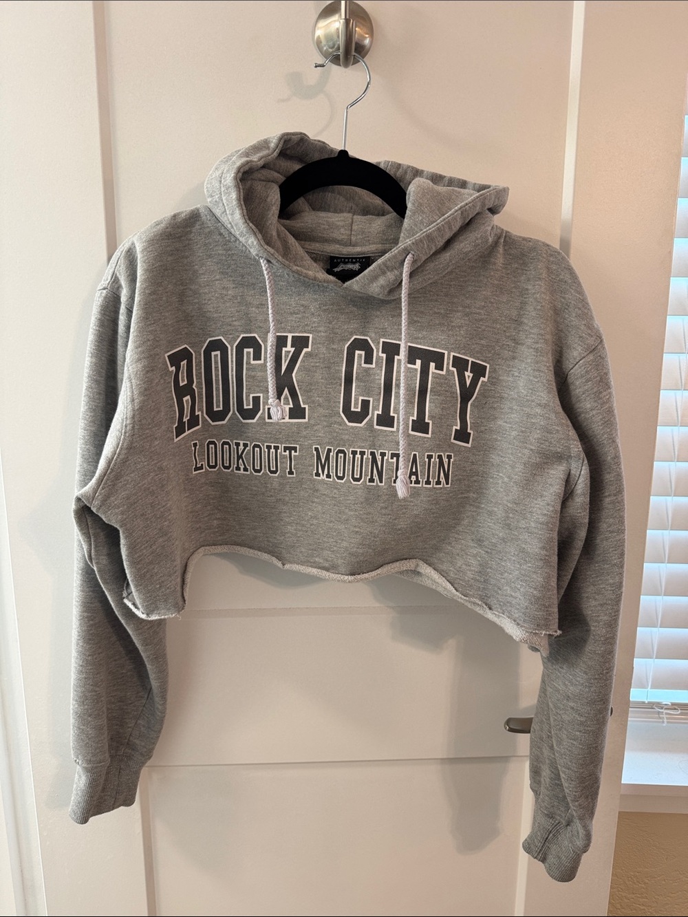 Rock City Lookout Mountain Cropped Hoodie Gray Raw Hem Sweatshirt Women’s Large